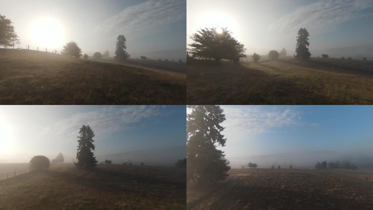 在迷雾森林的早晨，树梢上的极端近距离飞行。fpv运动无人机在云层自然山谷景观上的空中拍摄，山地丘陵地