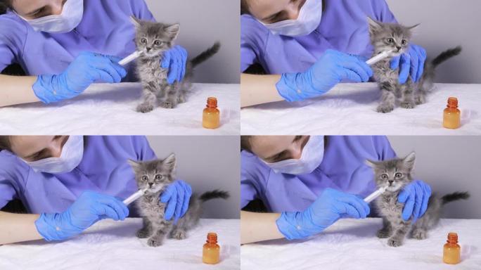 兽医给小猫吃药，猫转身离开注射器