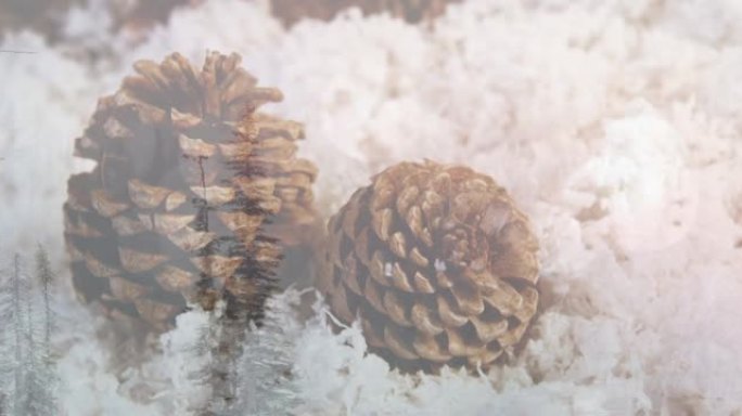 雪地和锥体上的冬季景观动画