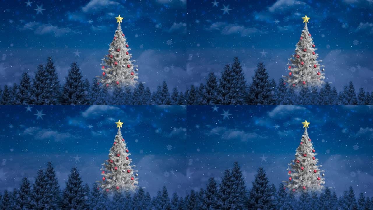 雪花落在圣诞树上的动画，冬日风景中的枞树