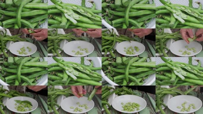 视频拼贴画的手从豆荚中剥下新鲜的蚕豆并将其放入厨房的盘子中
