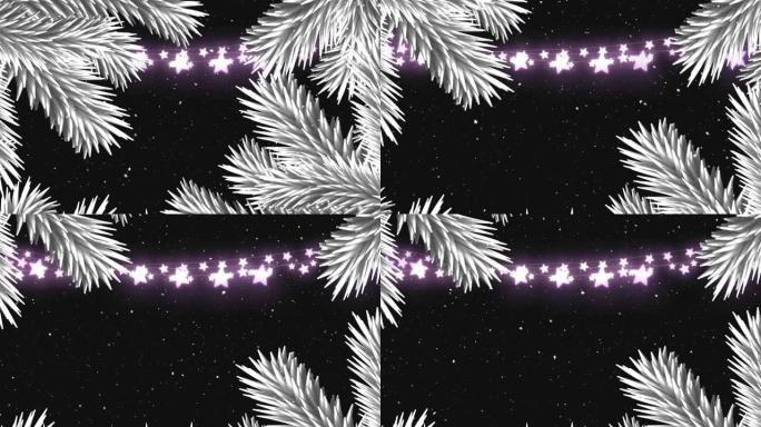 神仙灯动画，枞树装饰，雪落在黑色背景上