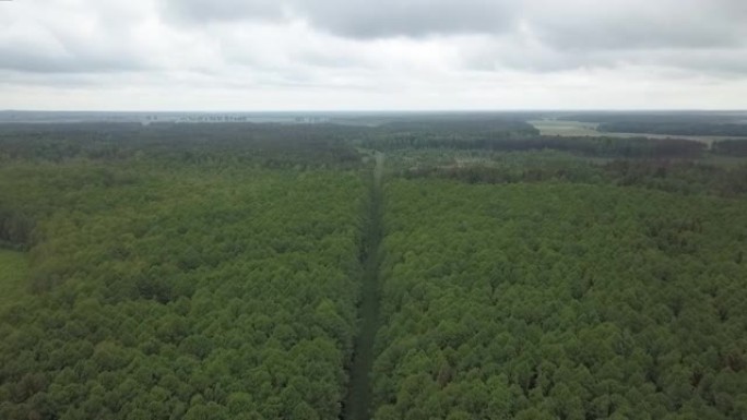 绿色森林中火车铁路的鸟瞰图。在戏剧性的天空背景下，绿色森林中的窄轨路径。环境概念。