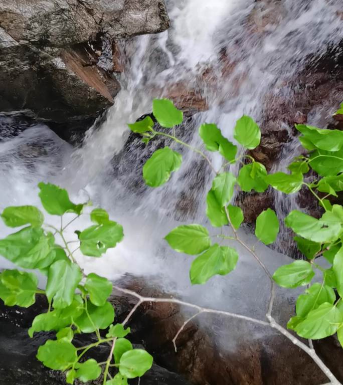 雨季山谷户外徒步探秘峡谷