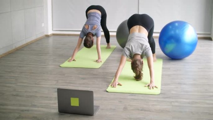 两名年轻女子在家练习网上锻炼瑜伽