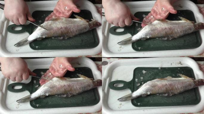 厨师清洗鱼