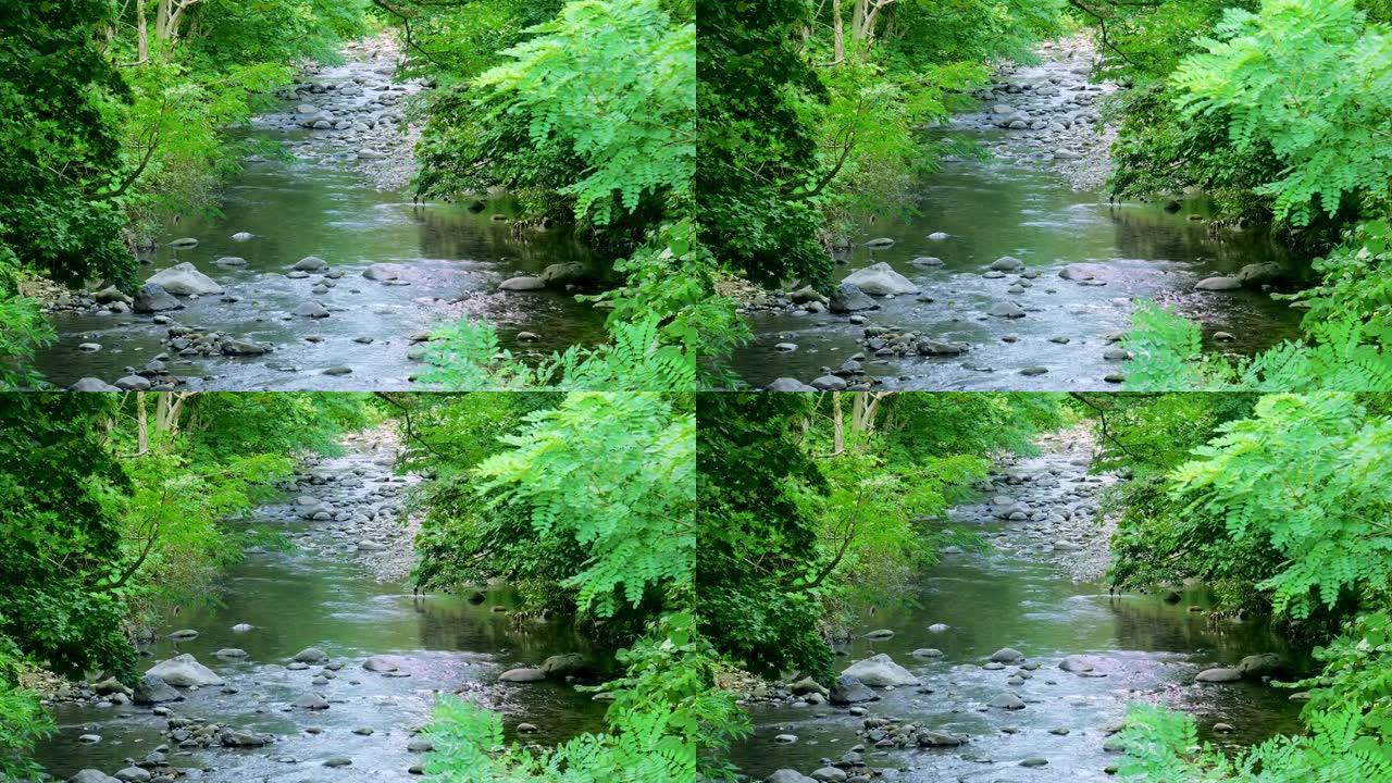 日本北海道山溪河流空镜水流特写地下水源
