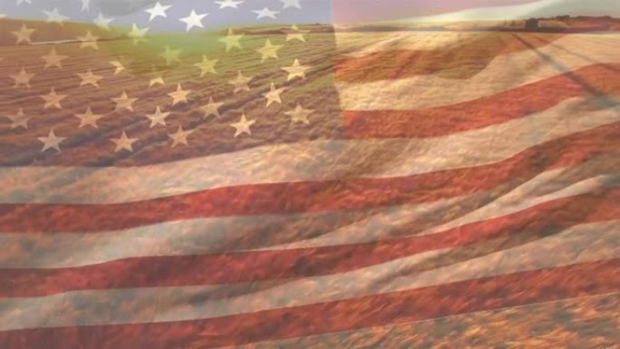美国国旗吹过麦田的动画