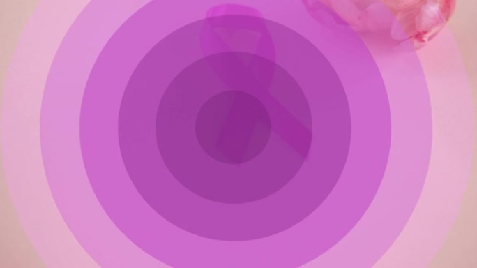 动画的相信移动的紫色圆圈和粉红色的玫瑰在背景