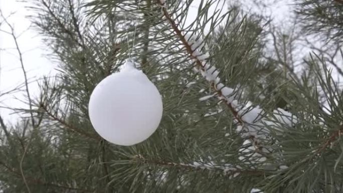 圣诞玩具白球，挂在覆盖着雪的圣诞树上。玩具在风中摇摇晃晃。圣诞背景
