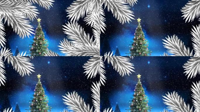 圣诞树上的树枝落在白色圣诞树上，在夜空中闪耀的星星上