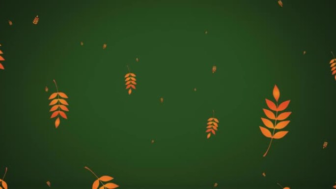 树叶落在绿色背景上的动画