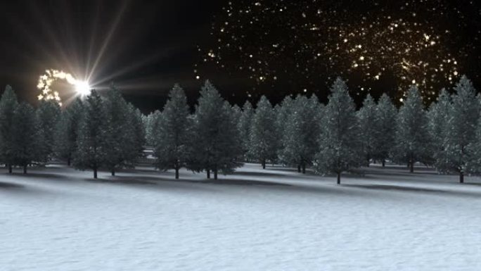 冬季景观上的多棵树，黑色背景上的流星