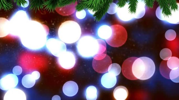 圣诞树树枝在黑色背景下漂浮的彩色光斑上