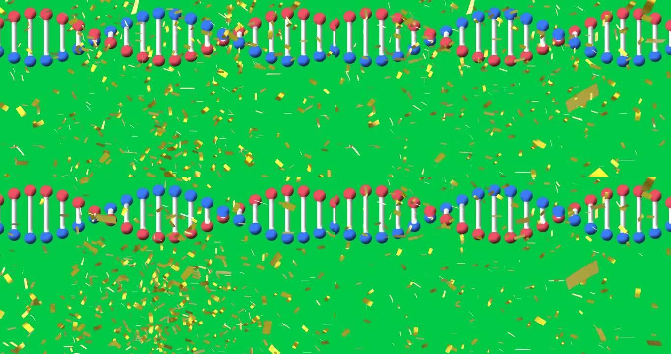 五彩纸屑落在绿屏背景上的dna链旋转的动画