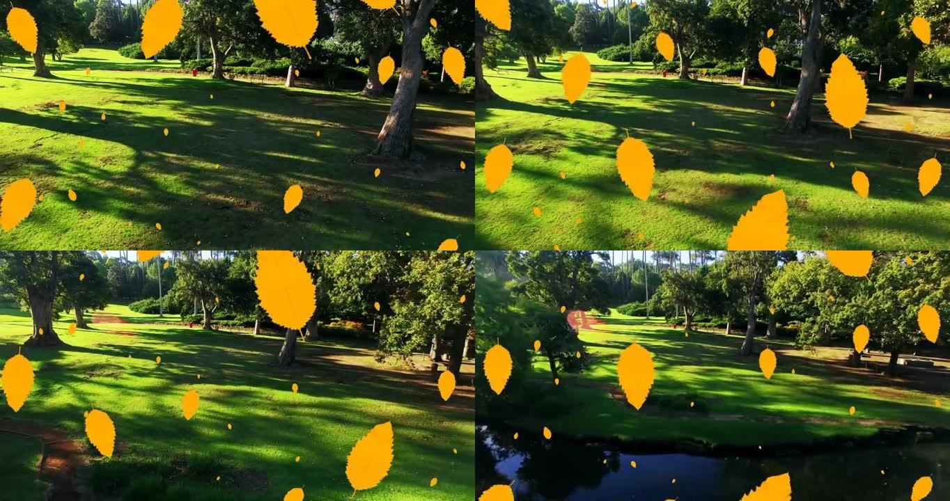 多个秋叶图标的数字组成落在公园的鸟瞰图上