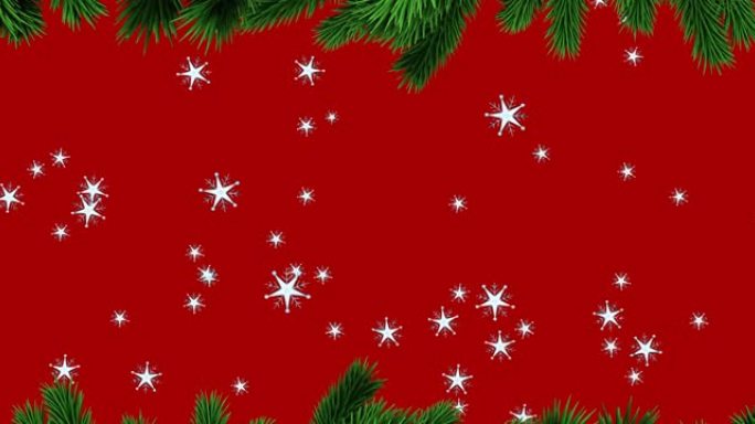 圣诞树树枝和多个星星图标落在红色背景下