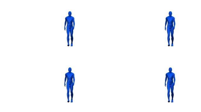数字人类在白色背景上行走的动画