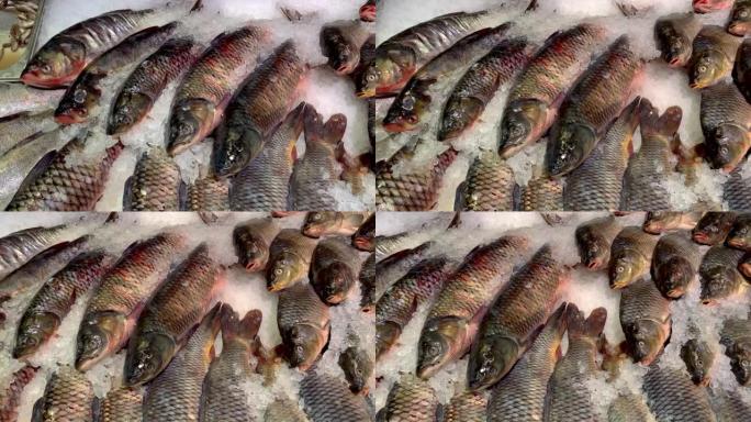 鱼市柜台上摆放着大量撒满碎冰的生冻鲫鱼。