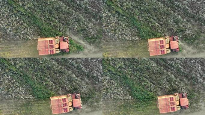 棉花收割机工作