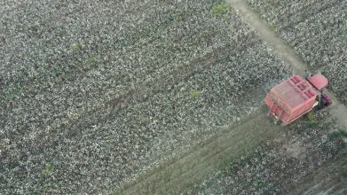 棉花收割机工作