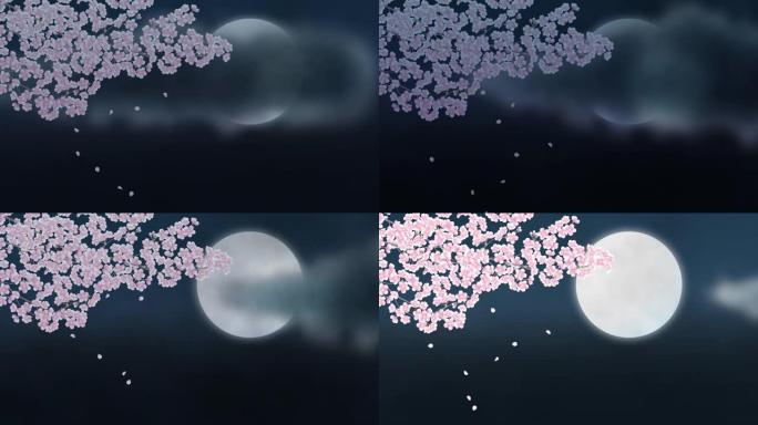 满月的云朵和夜晚盛开的樱花。插图视频