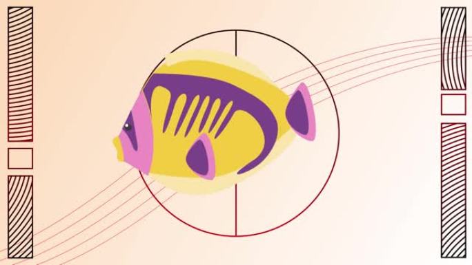 黄色背景上的鱼在形状上的动画