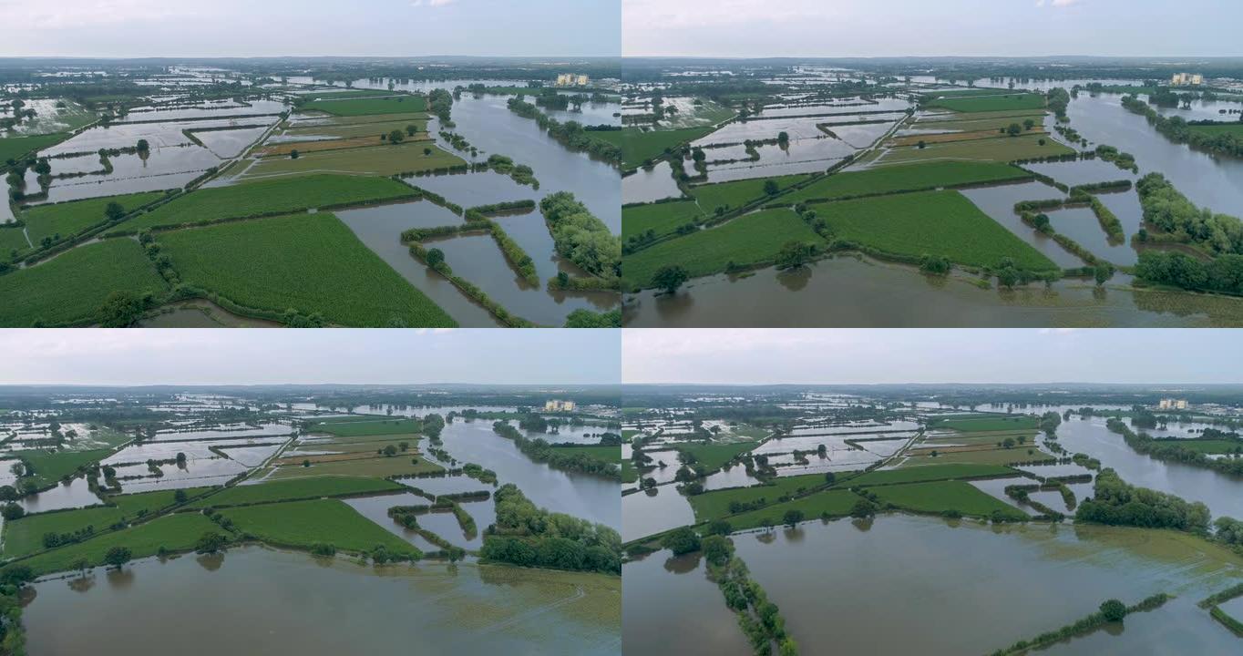 荷兰马斯河沿岸玉米田的鸟瞰图。