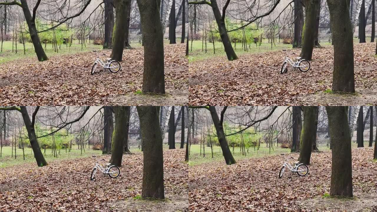 松鼠在秋天公园里站着的自行车周围奔跑，树上和地面上的黄色叶子