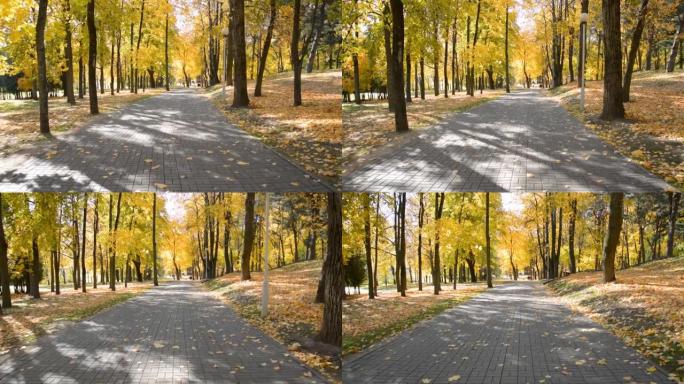 空旷的城市公园散步在秋天的城市公园