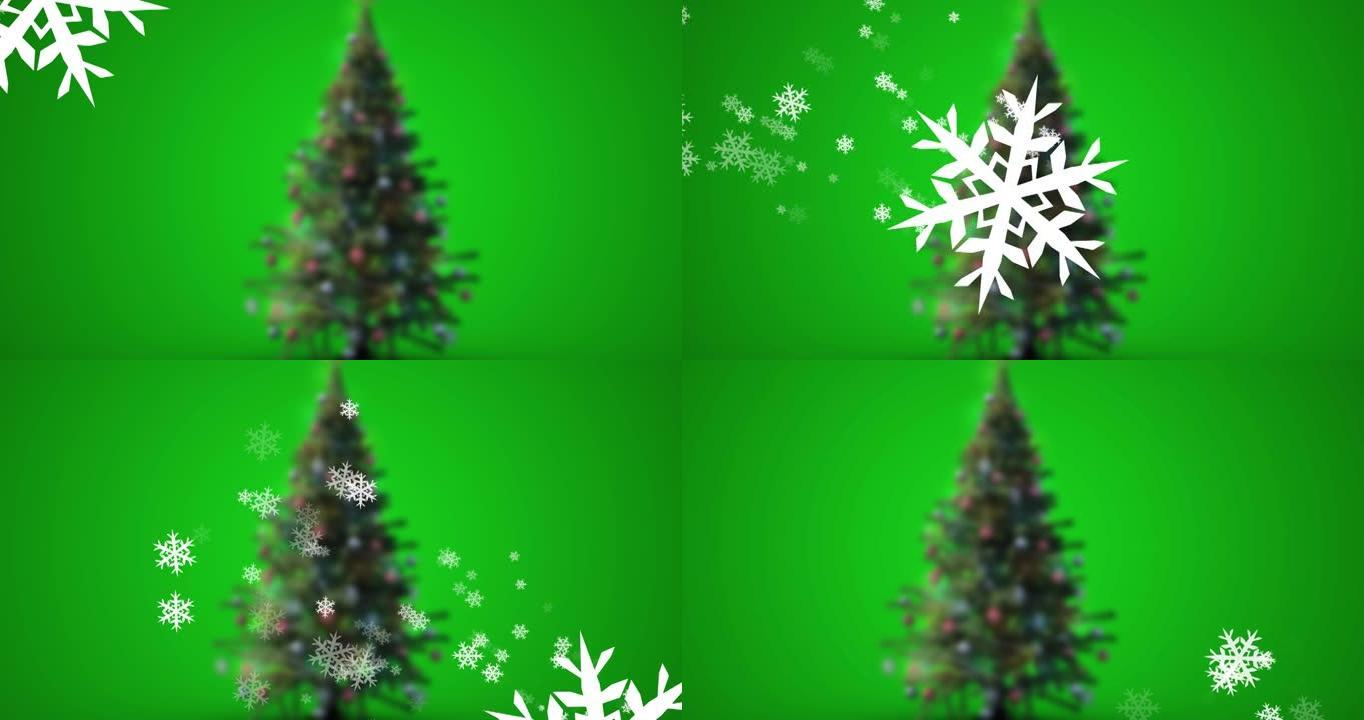绿色背景上的圣诞树上积雪的动画