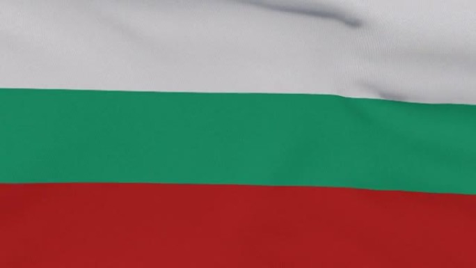 旗帜保加利亚爱国民族自由，无缝循环