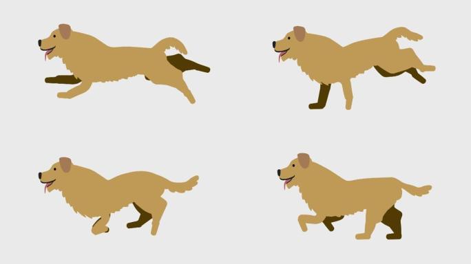 走狗插画的循环动画 (4k分辨率，背景透明)