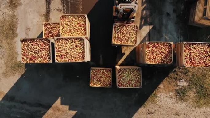 苹果盒子。苹果收获。苹果作物。叉车装载机将大木箱堆叠在一起，里面装满了刚收获的苹果。户外。鸟瞰图。自