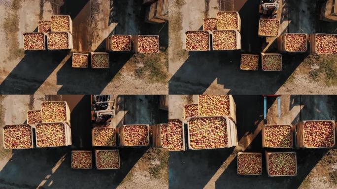 苹果盒子。苹果收获。苹果作物。叉车装载机将大木箱堆叠在一起，里面装满了刚收获的苹果。户外。鸟瞰图。自