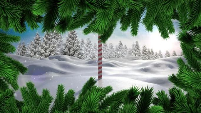 在冬季景观上，圣诞树树枝抵御着北极上空的积雪