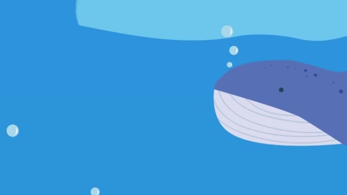 鲸鱼在海上游泳的动画
