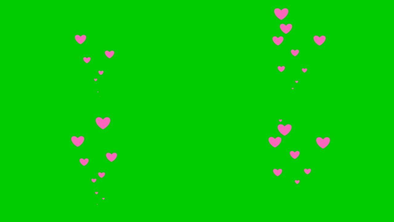 动画粉红心从下往上飞舞。爱的概念，激情。绿色背景上孤立的心脏喷泉。