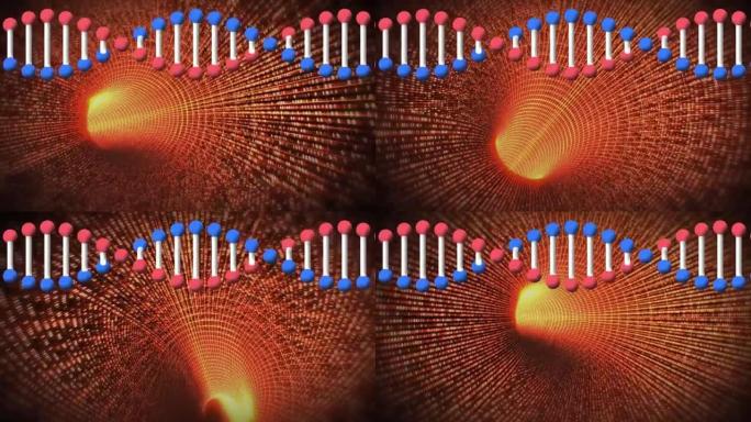 数字隧道上脱氧核糖核酸链的动画