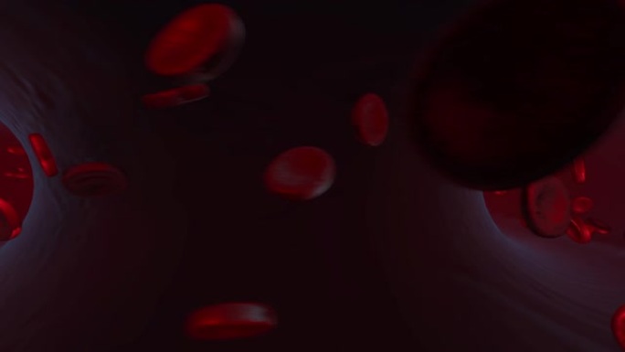 红细胞在人体静脉、血管内流动。淋巴系统。健康问题，测试。与科学相关的高质量3D动画