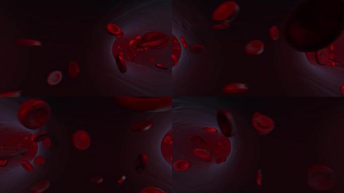 红细胞在人体静脉、血管内流动。淋巴系统。健康问题，测试。与科学相关的高质量3D动画