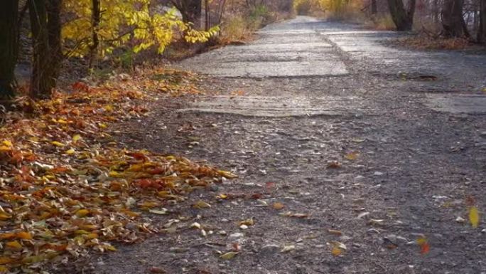 秋天公园里的断路，黄叶在风中盘旋。公园里的秋天