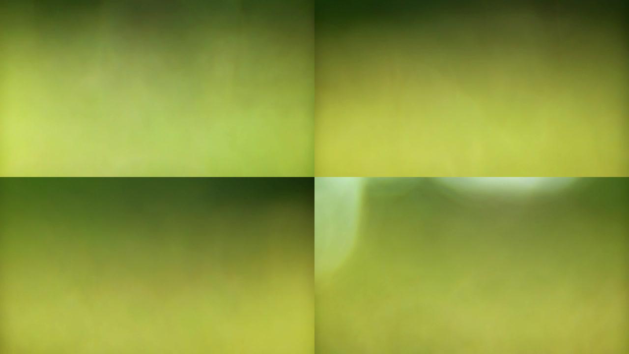 深绿色艺术抽象恐怖视频
