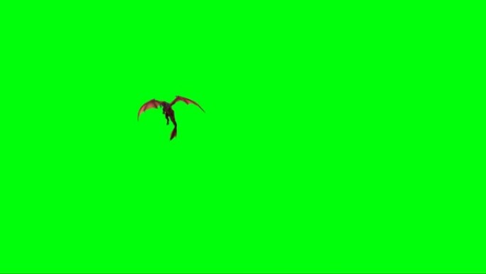绿色屏幕上的龙飞舞