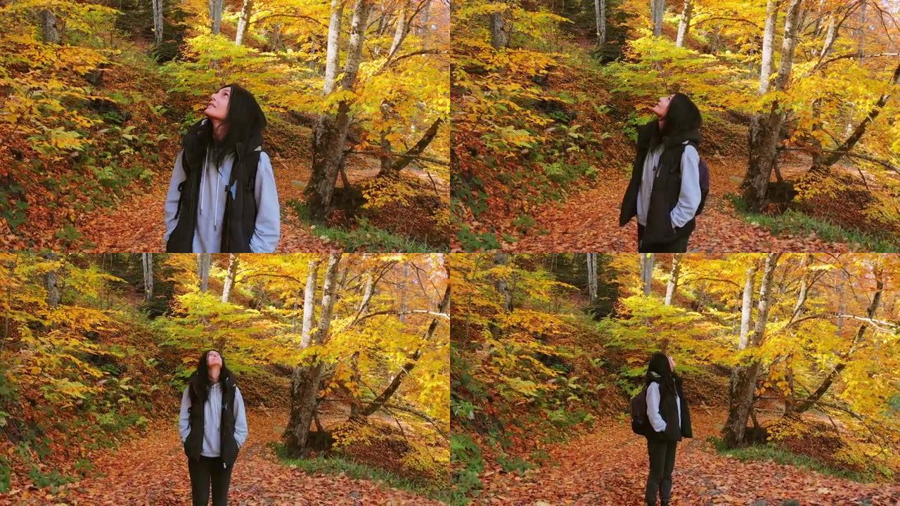 特写电影放大前视年轻的白人妇女站在森林里仰望户外秋天大自然中的树木。树叶在森林里慢动作落下。旅游目的