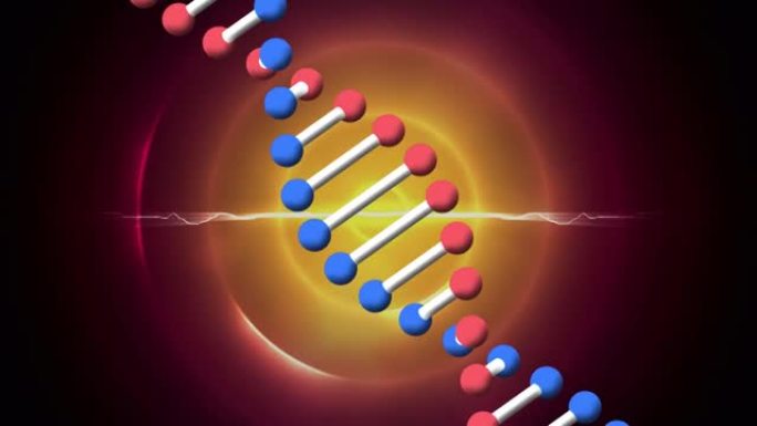 dna链在红色和橙色圆圈上的动画
