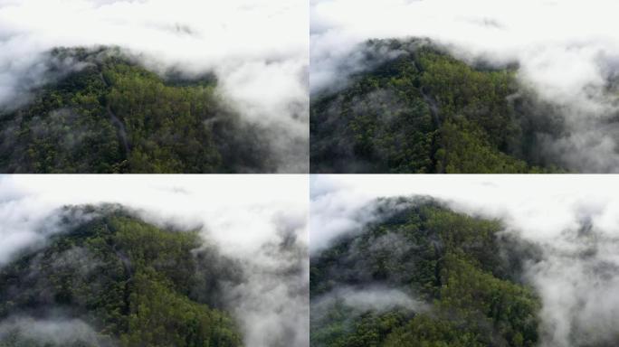 一座美丽的云覆盖的山的鸟瞰图。美丽的风景美丽的自然氛围，泰国北部南省自然疗愈概念沃林