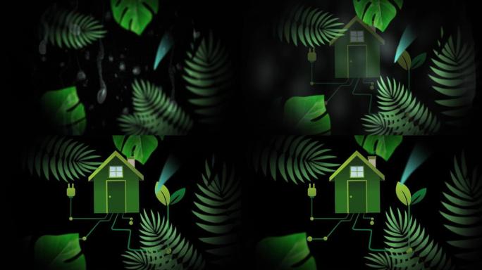 热带植物上的房屋和插头动画