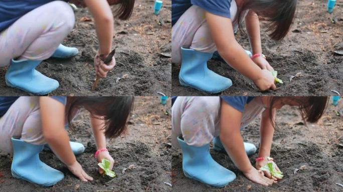 穿着靴子的可爱小女孩在后院种了一棵幼苗。孩子在厨房花园里种菜。