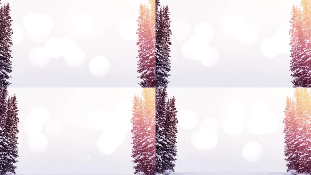 冬季景观中积雪上的光点动画